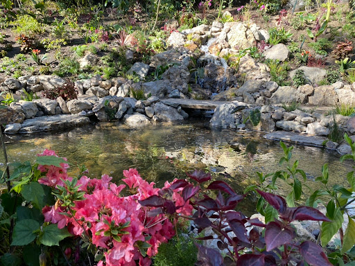 DreamScapes Water Features & Landscape image