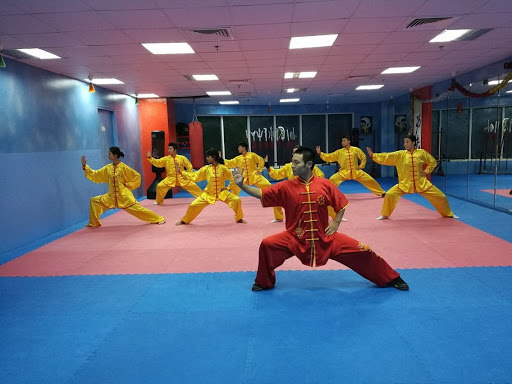 Shaolin Kung Fu Training Club