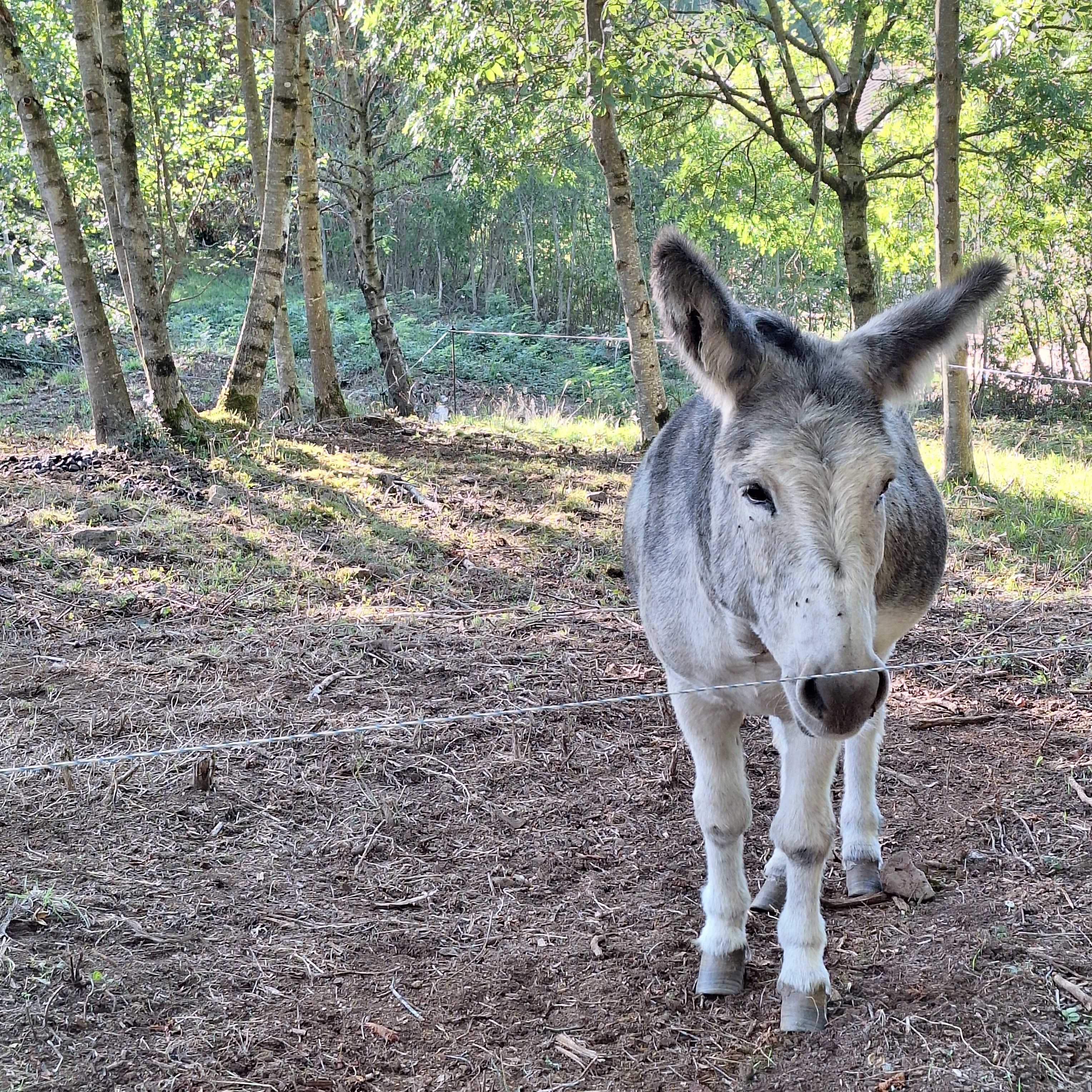 Photo n° 10 de l'avis de Nadine.H fait le 15/10/2023 à 21:15
