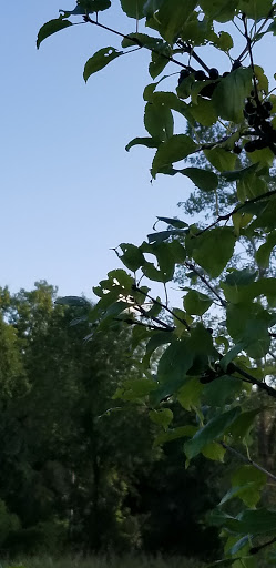 Golf Course «Highland Park Golf Course», reviews and photos, 3550 Green Rd, Highland Hills, OH 44122, USA