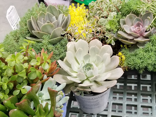 Department Store «Walmart Supercenter», reviews and photos, 10900 Parkside Dr, Knoxville, TN 37934, USA