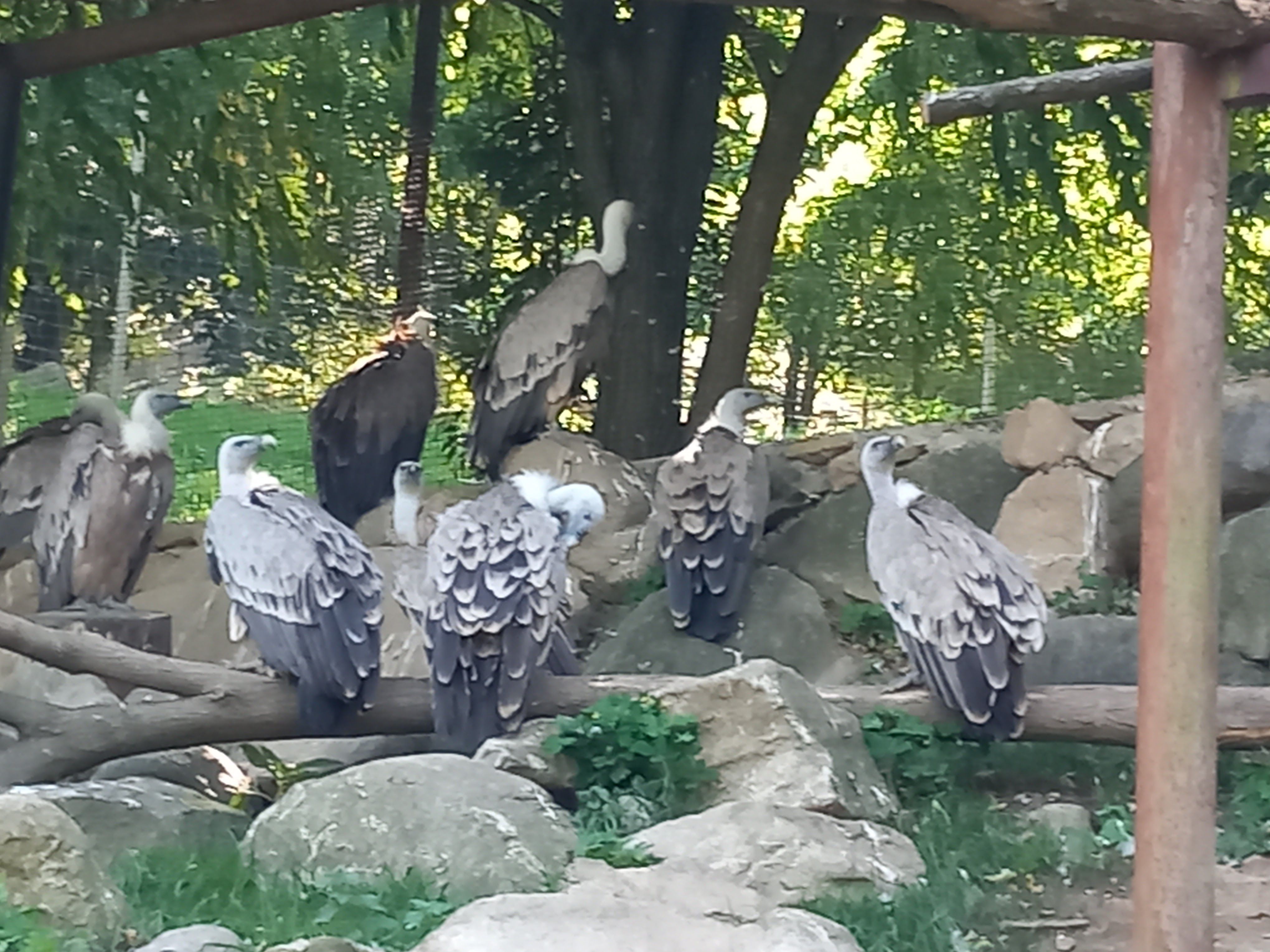 Photo n° 10 de l'avis de Cédric.O fait le 10/08/2023 à 16:41