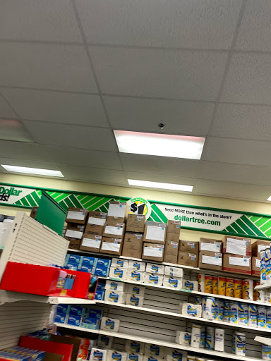 Dollar Store «Dollar Tree», reviews and photos, 1380 Easton Rd, Warrington, PA 18976, USA