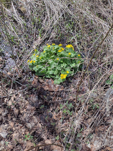Nature Preserve «DeGraaf Nature Center», reviews and photos, 600 Graafschap Rd, Holland, MI 49423, USA