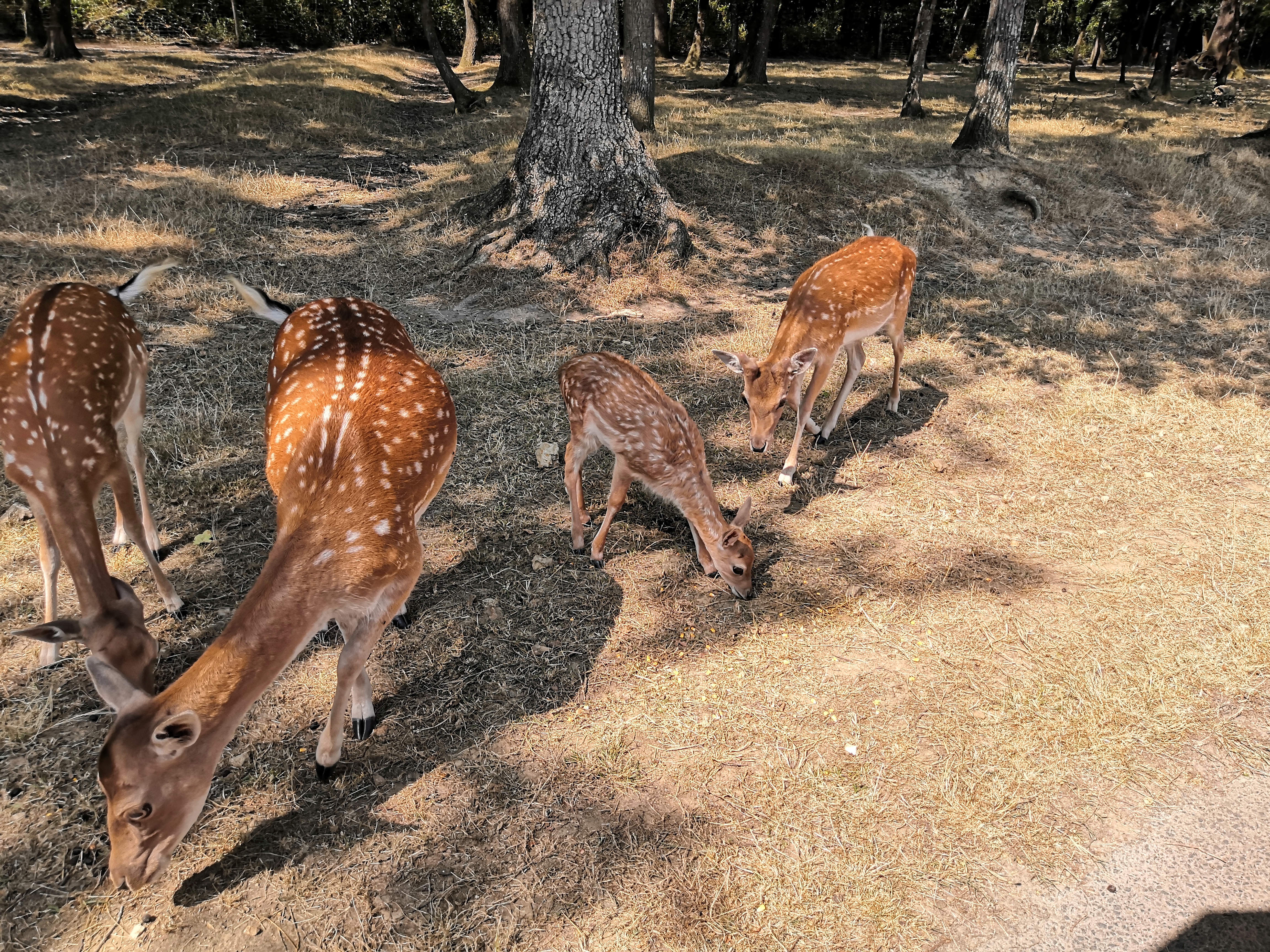 Photo n° 2 de l'avis de valentine. fait le 20/07/2022 à 14:25