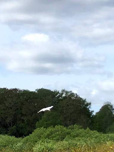 Boat Tour Agency «Alligators Unlimited Airboat Tours», reviews and photos, 14400 Reese Dr, Lake Wales, FL 33898, USA