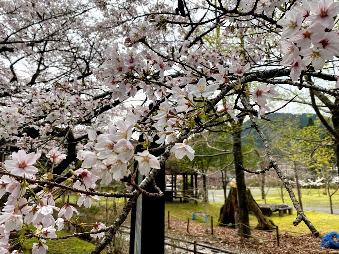 魚梁瀬丸山公園