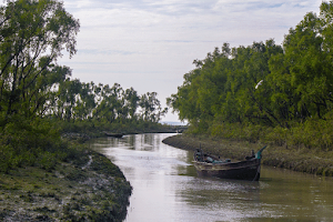 Nijhum Dwip National Park image