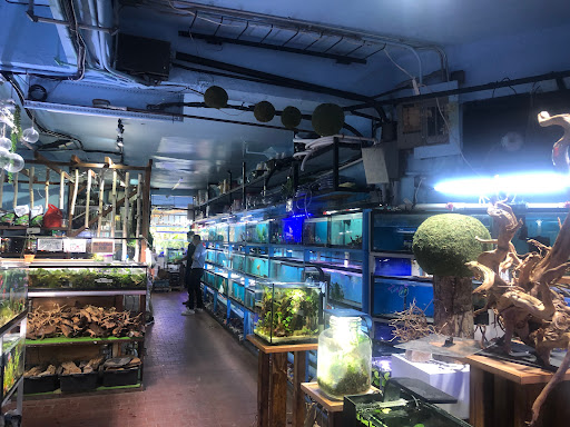 Aquarium «Pacific Aquarium & Plant Inc», reviews and photos, 46 Delancey St #1, New York, NY 10002, USA