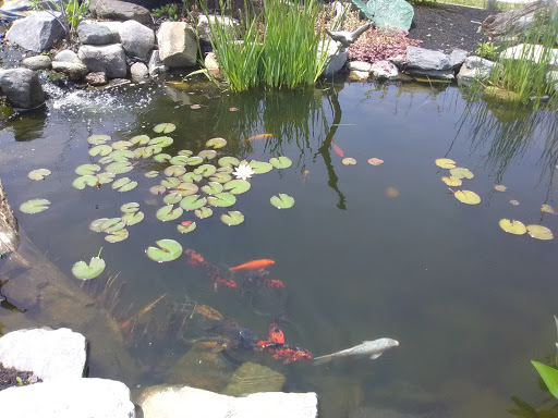 Farm «Four Town Farm», reviews and photos, 90 George St, Seekonk, MA 02771, USA