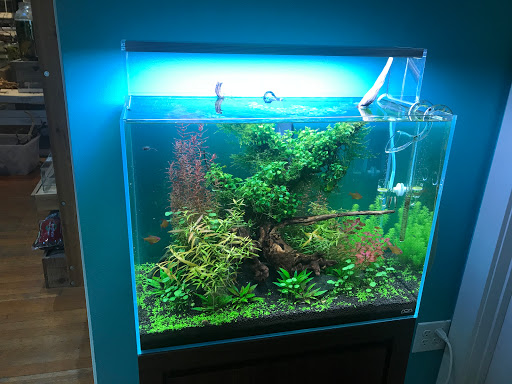 Tropical Fish Store «Aquarium Zen», reviews and photos, 920 NE 64th St, Seattle, WA 98115, USA