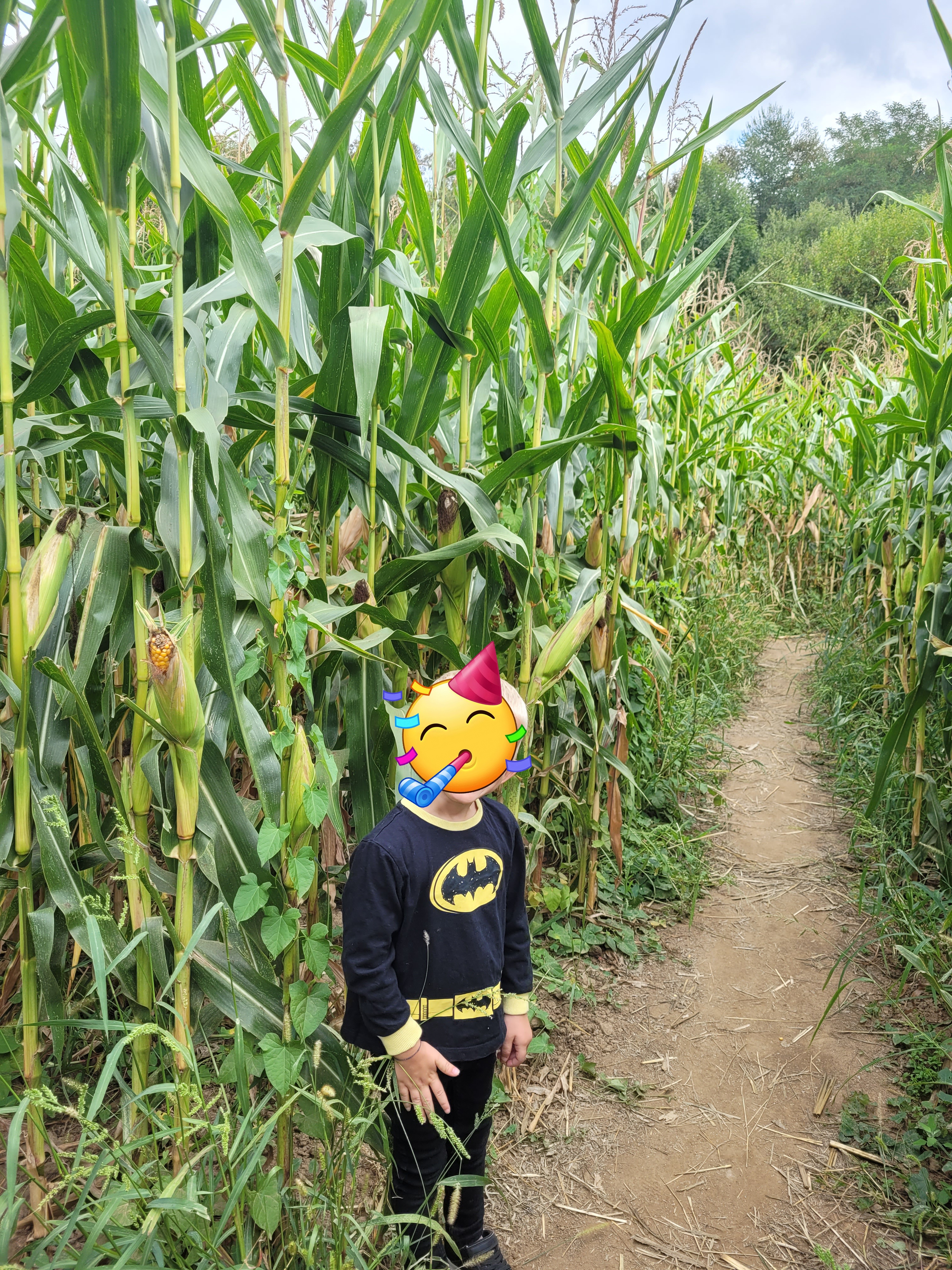 Photo n° 1 de l'avis de Marie.o fait le 15/08/2022 à 15:57