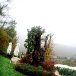 Photo n°21 de l'avis de Luigi.i fait le 01/11/2018 à 10:56 sur le  La Cascina per un sogno à Viaro