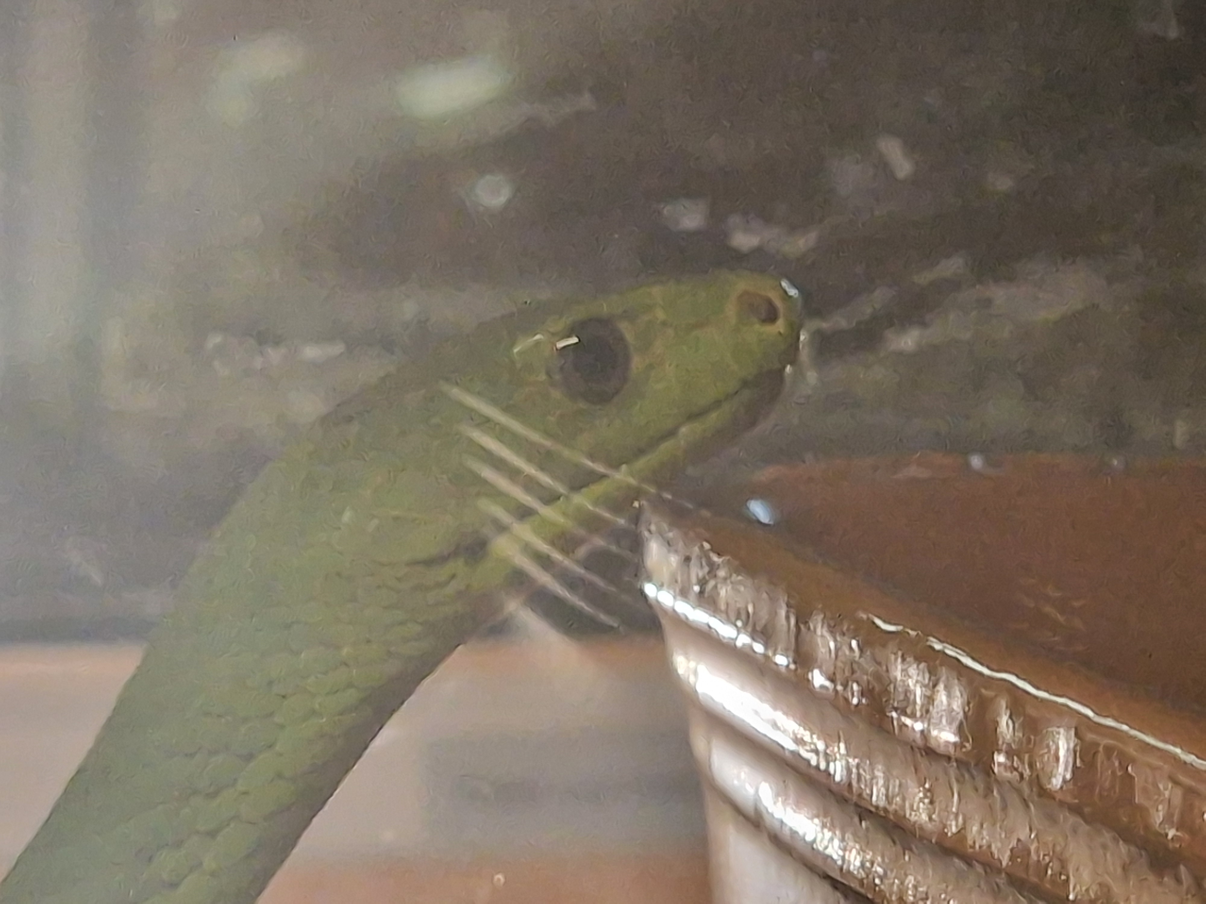 Photo n° 3 de l'avis de Stephane.E fait le 04/05/2024 à 10:29