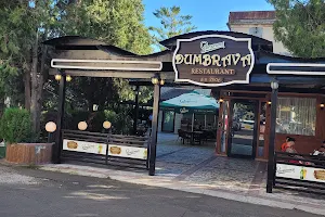 Restaurant Dumbrava Călărași image