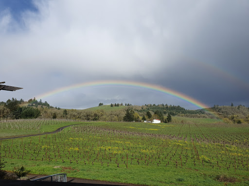 Winery «Bethel Heights Vineyard», reviews and photos, 6060 Bethel Heights Rd NW, Salem, OR 97304, USA