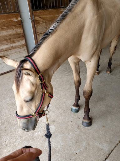 Rolling Meadows Animal Hospital image