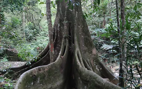 Bukit Cherok Tokun Bukit Mertajam image