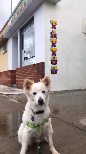 Explore simple leg tattoo ideas, creative tattoo ideas in San Diego, available at Federation Ink Tattoo Parlor