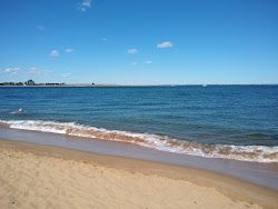 Plum Island beach'in fotoğrafı imkanlar alanı