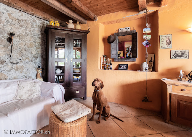 Comentarii opinii despre IMMO.FACTOR