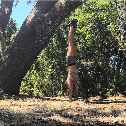 Park «Lake Park», reviews and photos, 17302 N Dale Mabry Hwy, Lutz, FL 33548, USA