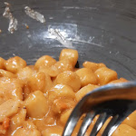 Photo n°1 de l'avis de Silva.o fait le 21/02/2023 à 07:28 sur le  Al Timon à Grado