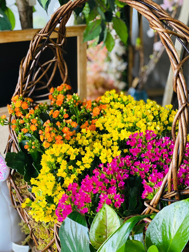 Florist «J & J Flowers and Gifts Shop», reviews and photos, 8366 Pines Blvd, Pembroke Pines, FL 33024, USA