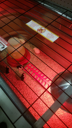 Animal Feed Store «Wilco Farm Store», reviews and photos, 3408 Hunt St NW, Gig Harbor, WA 98335, USA