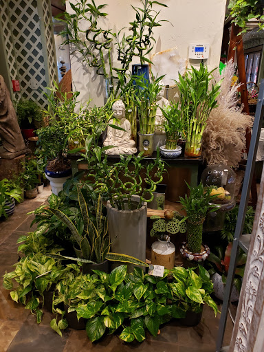 Florist «Fern by Boston Rose Florist», reviews and photos, 225 Massachusetts Ave, Boston, MA 02115, USA