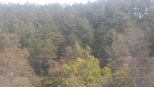 Winery «Habersham Winery», reviews and photos, 7025 South Main Street, Helen, GA 30545, USA