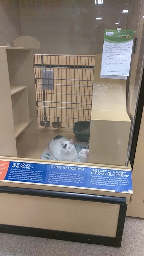 Pet Supply Store «PetSmart», reviews and photos, 1836 Joe Battle Blvd, El Paso, TX 79936, USA