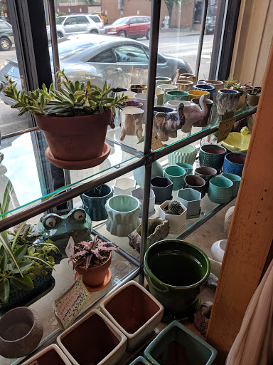 Boutique «Archimage», reviews and photos, 668 Monroe Ave, Rochester, NY 14607, USA