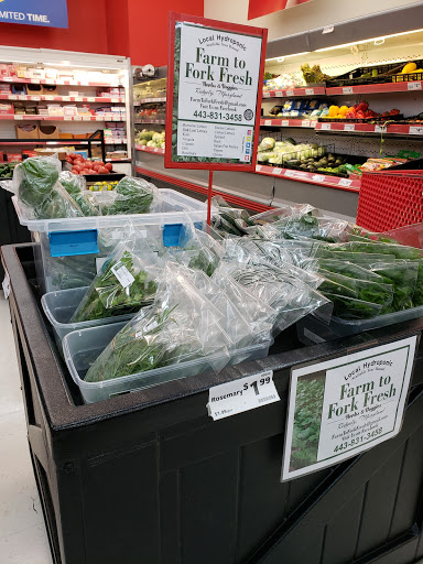 Grocery Store «Save-A-Lot», reviews and photos, 13263 Greensboro Rd, Greensboro, MD 21639, USA