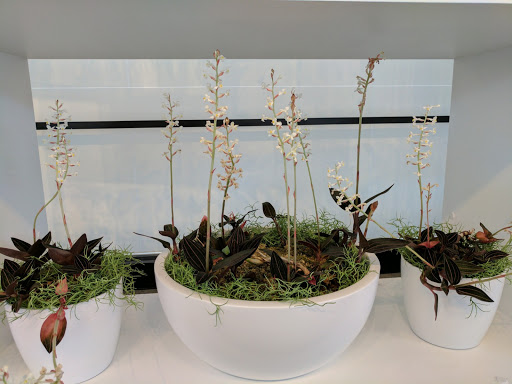 Art Museum «Hirshhorn Museum», reviews and photos, Independence Ave SW, Washington, DC 20024, USA