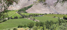 Elqui Valley Tour (Virtual Office Premiun)