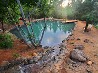 SPRINGFALL LANDSCAPE & MAINTENANCE - Photo 7 - Car repair in , Eugene