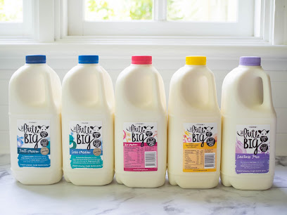 The Little Big Dairy Co