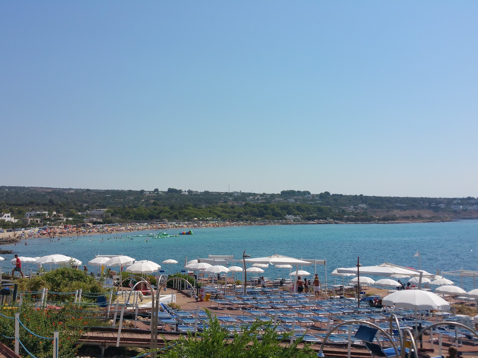 Marinelli photo #8