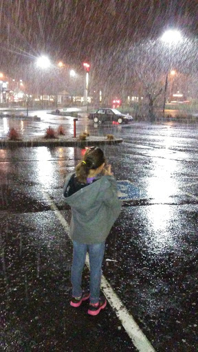 Sporting Goods Store «Big 5 Sporting Goods», reviews and photos, 4665 Commercial St SE, Salem, OR 97302, USA