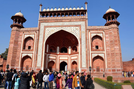 Tour My India, C-81 C, C-81-82, Noida, Uttar Pradesh 201301, India