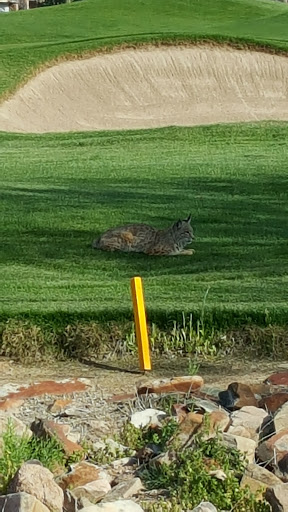 Country Club «Ancala Country Club», reviews and photos, 11700 E Vía Linda, Scottsdale, AZ 85259, USA