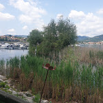 Photo n°2 de l'avis de Yossi.o fait le 27/05/2023 à 14:22 sur le  RistoBistrot La Vela à Paratico