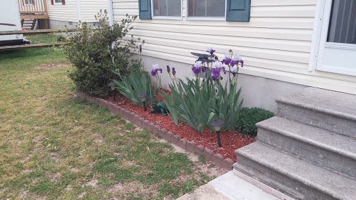 Photo of Jacks Plumbing