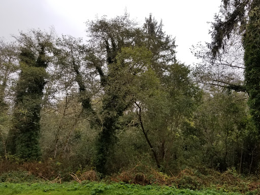 Golf Course «Seaside Golf Course», reviews and photos, 451 Avenue U, Seaside, OR 97138, USA