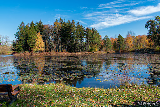 Nature Preserve «Reinstein Woods Nature Preserve», reviews and photos, 93 Honorine Dr, Depew, NY 14043, USA