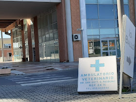 Ambulatorio Veterinario Fauglia Di Pasquali Giovanni E Currarini Lisa