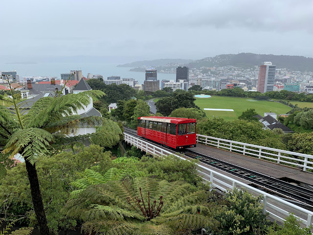 Wellington Botanic Garden by null