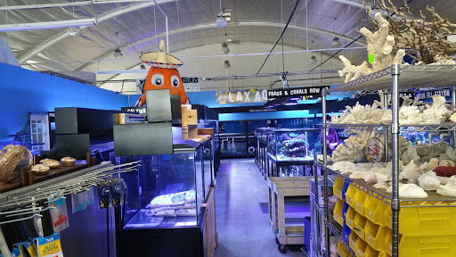 Tropical Fish Store «Lax Aquarium», reviews and photos, 5310 W Century Blvd, Los Angeles, CA 90045, USA