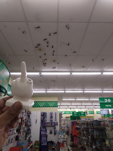 Dollar Store «Dollar Tree», reviews and photos, 14801 Washington Ave, San Leandro, CA 94578, USA